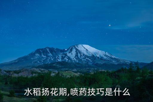  水稻揚花期,噴藥技巧是什么