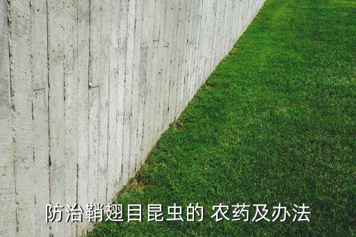 ,農(nóng)藥黑光燈是什么農(nóng)藥