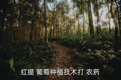 葡萄田用什么機器打農藥