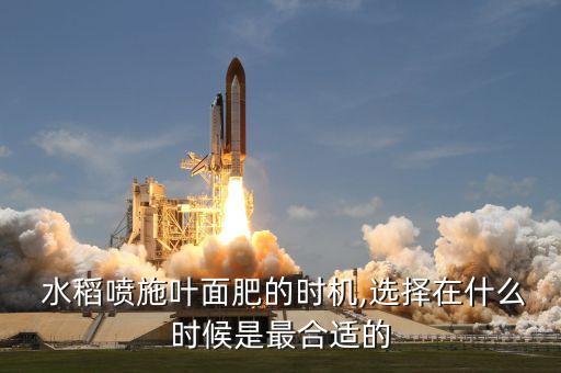  水稻噴施葉面肥的時機,選擇在什么時候是最合適的