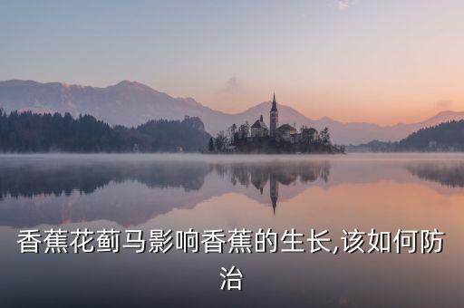 香蕉花薊馬影響香蕉的生長,該如何防治