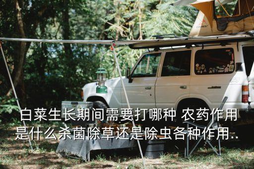  白菜生長(zhǎng)期間需要打哪種 農(nóng)藥作用是什么殺菌除草還是除蟲各種作用...