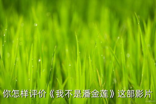 你怎樣評價《我不是潘金蓮》這部影片