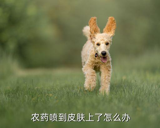 懷疑農藥中毒掛什么科,農藥中毒看什么科醫生最好