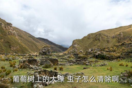 葉片上的蟲子用什么農藥,綠色蟲子用什么農藥治