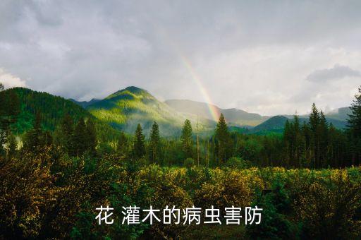 殺死灌木用什么農藥,打灌木用什么農藥