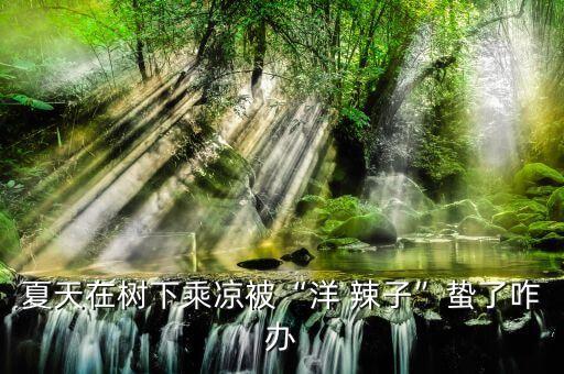 洋辣子怕什么農藥最厲害