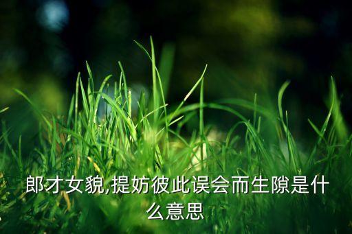  郎才女貌,提妨彼此誤會(huì)而生隙是什么意思