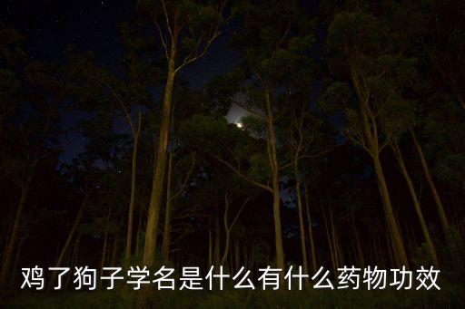 雞了狗子學名是什么有什么藥物功效