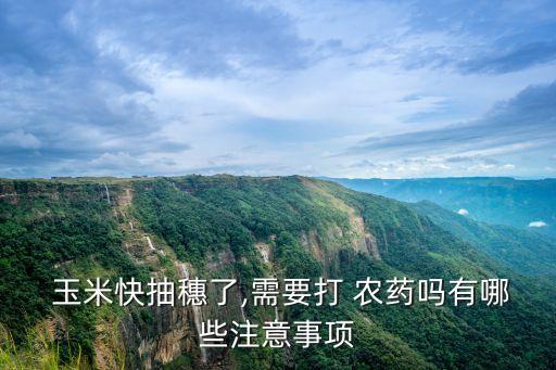 ,給玉米噴灑農藥應注意什么