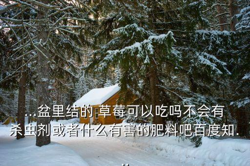 ...盆里結(jié)的 草莓可以吃嗎不會(huì)有殺蟲(chóng)劑或者什么有害的肥料吧百度知...