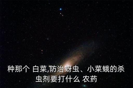種那個(gè) 白菜,防治蚜蟲、小菜蛾的殺蟲劑要打什么 農(nóng)藥