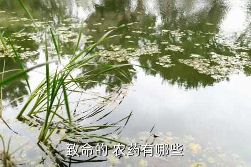底毒農(nóng)藥對身體危害,什么農(nóng)藥底毒
