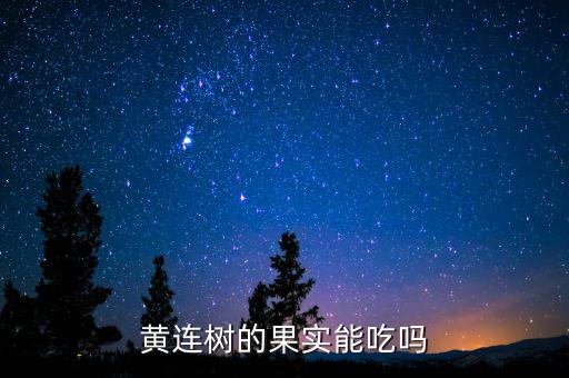 黃連樹的果實能吃嗎