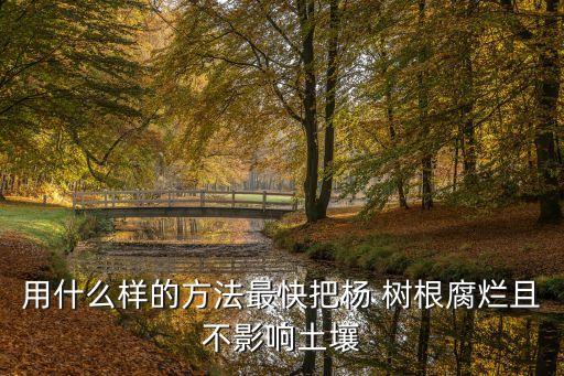用什么樣的方法最快把楊 樹根腐爛且不影響土壤