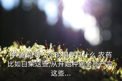 種 蔬菜,每一個時期要打什么 農(nóng)藥比如白菜這些,從開始種到全部產(chǎn)完,這些...