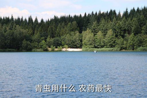 青蟲用什么 農藥最快