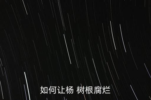 爛大樹根的農(nóng)藥,什么農(nóng)藥能爛樹根