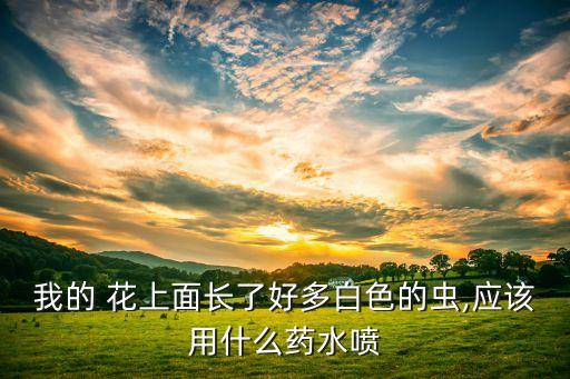 花上油蟲怎么治,花上有蟲用什么農(nóng)藥好