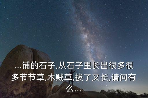 北方適合種什么草,節骨草適合什么農藥