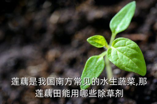 蓮藕是我國(guó)南方常見(jiàn)的水生蔬菜,那 蓮藕田能用哪些除草劑