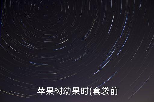 蘋果套袋廠家直銷,套蘋果袋時間打什么農藥