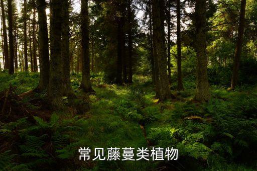 葛麻藤蟲有什么作用,用什么農藥除葛麻藤