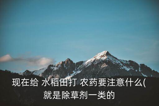 現在給 水稻田打 農藥要注意什么(就是除草劑一類的