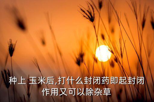 種上 玉米后,打什么封閉藥即起封閉作用又可以除雜草