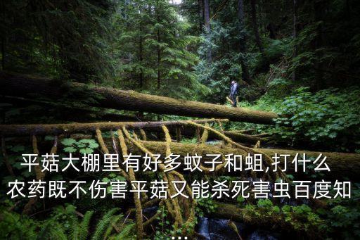 平菇大棚里有好多蚊子和蛆,打什么 農藥既不傷害平菇又能殺死害蟲百度知...
