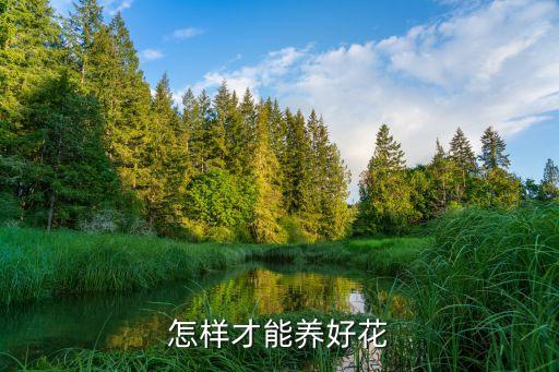 怎樣才能養好花