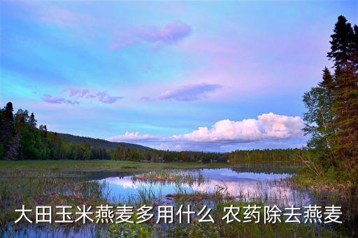 大田玉米燕麥多用什么 農(nóng)藥除去燕麥
