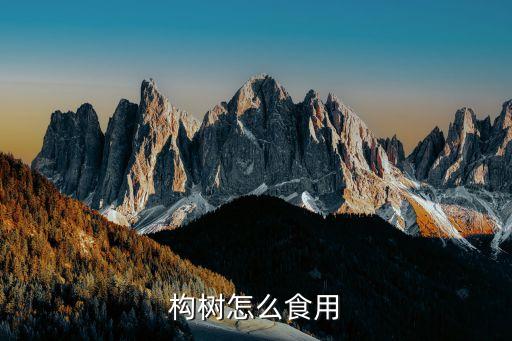 ,楮實子怕什么農藥