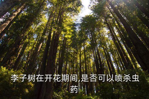 李子樹在開花期間,是否可以噴殺蟲藥