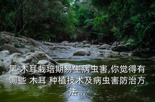 黑 木耳栽培期易生病蟲害,你覺得有哪些 木耳 種植技術及病蟲害防治方法...