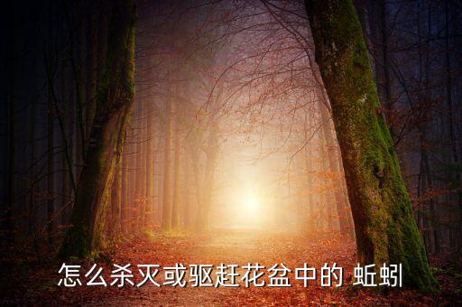,去除土壤里蚯蚓用什么農(nóng)藥