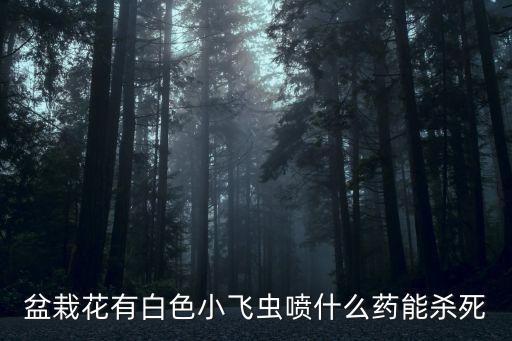 盆栽花有白色小飛蟲噴什么藥能殺死
