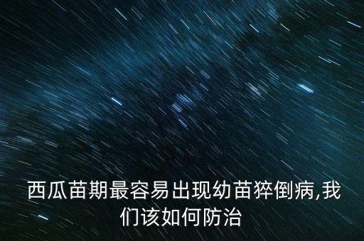  西瓜苗期最容易出現幼苗猝倒病,我們該如何防治