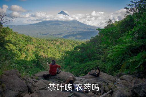  茶葉噴 農藥嗎