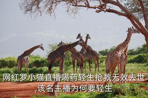 網紅羅小貓直播喝藥輕生搶救無效去世,該名主播為何要輕生