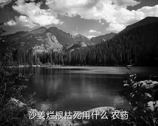 沙姜爛根枯死用什么 農藥
