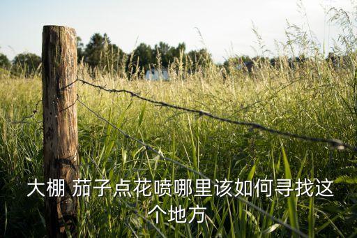 茄子開花,不長什么原因,大棚茄子開花打什么農藥