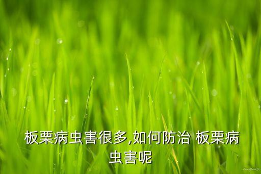  板栗病蟲害很多,如何防治 板栗病蟲害呢