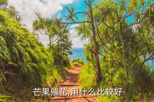  芒果催花,用什么比較好