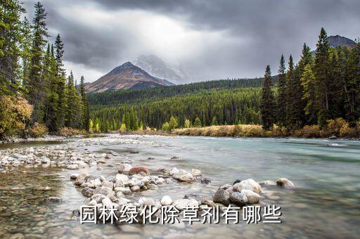 ,什么農(nóng)藥除三棱草