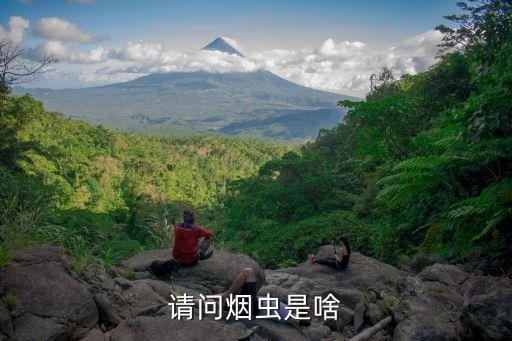 請(qǐng)問(wèn)煙蟲(chóng)是啥