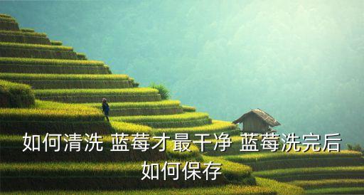 藍莓種植與管理,種植藍莓需要什么農(nóng)藥殘留