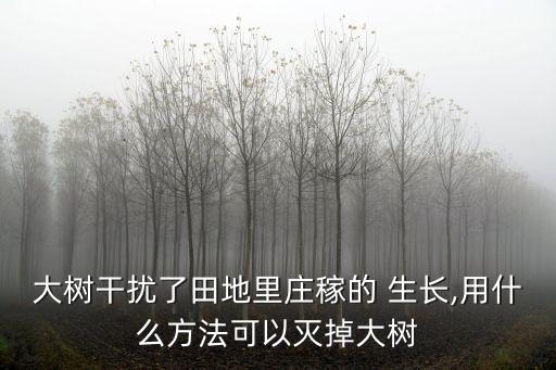 ,什么農(nóng)藥可以讓樹不生長(zhǎng)