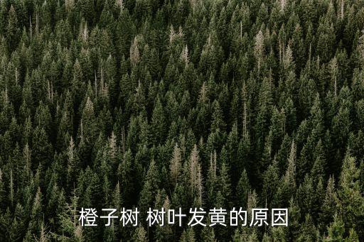 橙子樹 樹葉發黃的原因