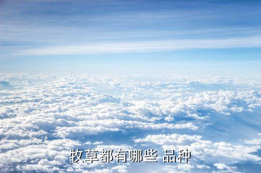 ,農(nóng)藥店適合養(yǎng)什么花草品種